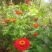 Petra Coello - Facebook