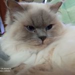 Petra Decker - @petra.decker.777 - Instagram