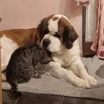 Petra Decker - @petradecker486 - Instagram