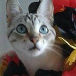 @petradecker - Instagram