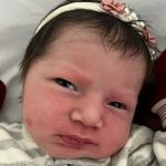 @eupetrafields - Instagram