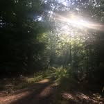 Petra Hein - @pp66894 - Instagram
