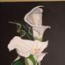 Petra Haroon - Facebook