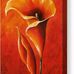 Petra Haroon - Facebook