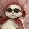 petra - @petraerron - TikTok