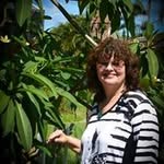 Petra Kaiser Glass Art - @petrakaiserlee - Instagram