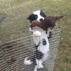 petrakaiser323 - @petrakaiser323 - TikTok