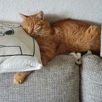 Petra - @petra.lambertz.1 - Instagram
