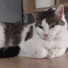 Petra Lindenmeyer - @petra.lindenmeyer - TikTok