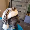 Petra van der Linden - @petra.van.der.lin6 - TikTok