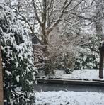 Petra Van Der Linden - Facebook