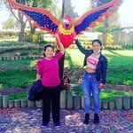 Petra luna - @petraluna541 - Instagram