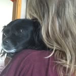 Petra - @p.e.t.r.a.luna - Instagram
