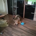 Petra Mock - @riccolino45 - Instagram