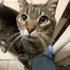 Petra_Moon_Backup - @petra_moon_backup - TikTok