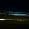 Petra Morrison - @pertaorrison - TikTok