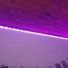 petra_mihaela_hate_page - @petra_mihaela_hate_page - TikTok