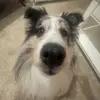 heyyitspetra - @petra.parkkila - TikTok