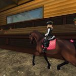 Pinja wallen - @petra_pineback - Instagram