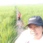 Toserba Uis Karo Karo - @petra_agus_pinem_ - Instagram