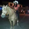 petrapowel - @petrapowel - TikTok