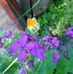 Petra Puls - Facebook