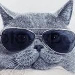 Petra Puls - @sqo_ops2111 - Instagram