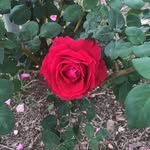 Petra Quintero - @petrascreation - Instagram