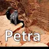 PETRA - @reaipetra - TikTok