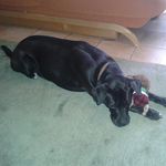 petra read - @readpetra - Instagram