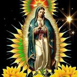 Petry Flor Castro - @petrarinconcastro - Instagram