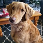 Petra Robertson - Facebook