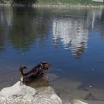 Petra Roche - @engel_1.3.1965 - Instagram
