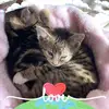 Peta Ryan - @petaryan150 - TikTok