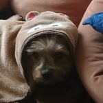 Petra Sauer - @sauer6470 - Instagram