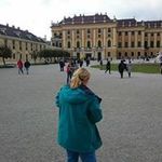 Petra Sauer - @petriwald - Instagram