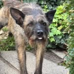 Petra Sauer - @sr.pet2545 - Instagram
