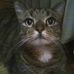 Petra Sauer - Facebook