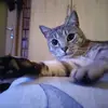 Petra Sauer - @petrasauer - TikTok