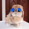 petrasauer600 - @petrasauer600 - TikTok