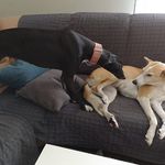 Petra Schaffer-Thissen - @schafferthissen - Instagram