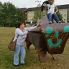 Petra Schroeder313 - @petraschroeder313 - TikTok