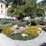 Petra Schroeder - @petra.schroeder.501 - Instagram