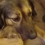 Petra Schulte - @schulte4758 - Instagram