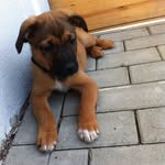 Petra Schulte - @petraschulte53 - Instagram
