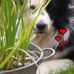 Petra Schulte - Facebook
