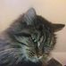 Petra Schulte - Facebook