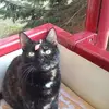 Petra Schuster - @petra.schuster3 - TikTok