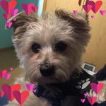 Petra Schuster - @petra_schuster67 - Instagram