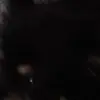 petraschuster27 - @petraschuster27 - TikTok